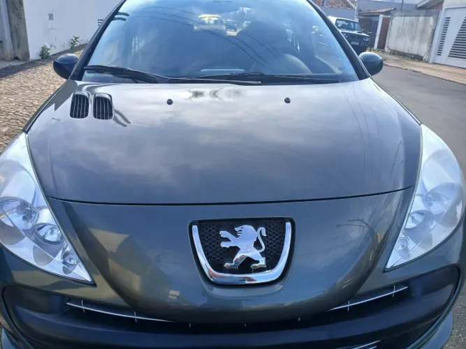 Peugeot 207 XR 1.4 Flex 8V 5P 2011