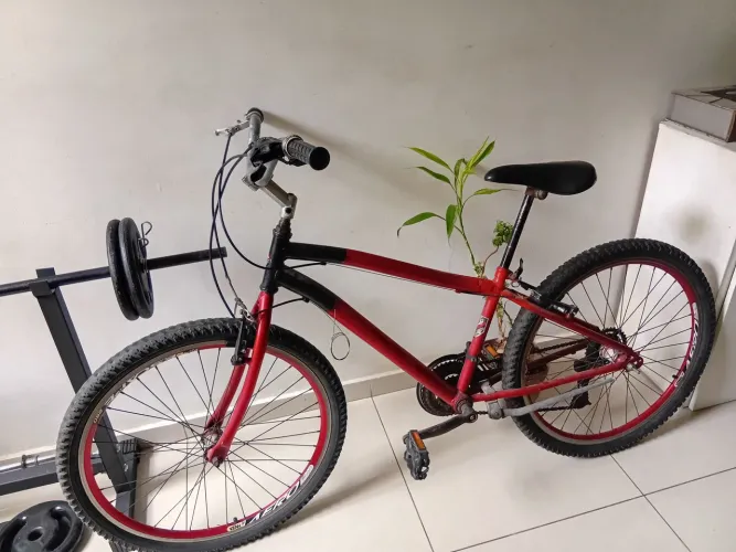 Bike 21 marchas