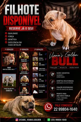 Bully