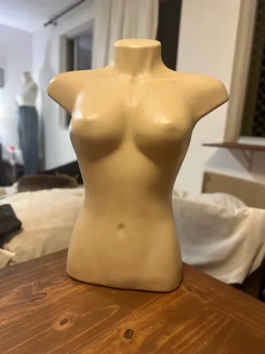 Busto manequim feminino