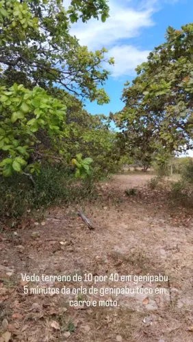 Terreno em genipabu 1 quilômetro da praia 10 por 40