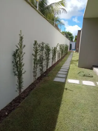 Grama Jardinagem Paisagismo Plantas
