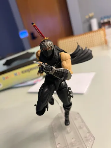 Ninja Gaiden 2 Ac Factory