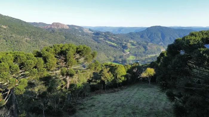 Chácara de Altitude com Linda Vista