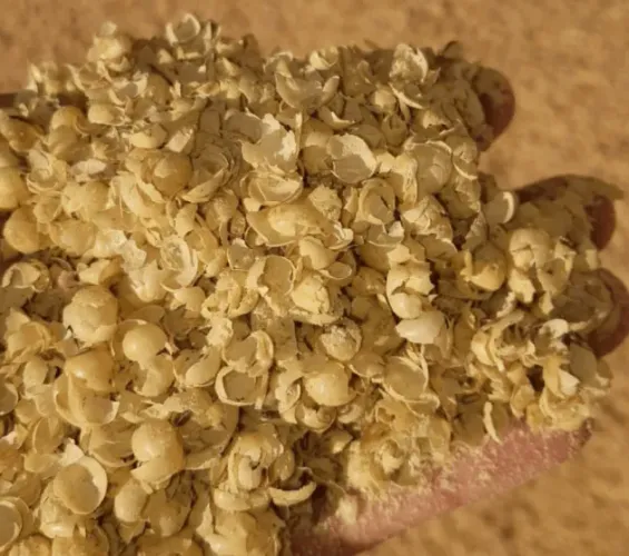 Casca de soja 8% proteina