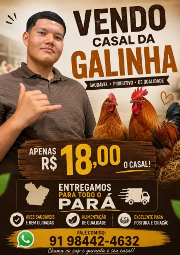 Vende-se galinhas grandes!