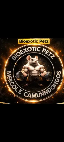 MERCOL e CAMUNDONGOS