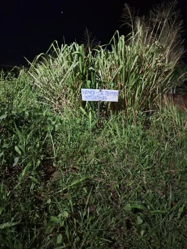 Vendo terreno