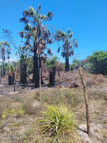 Lotes à venda nas salinas dos lençóis maranhenses