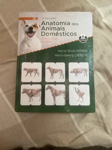 Anatomia dos Animais Domésticos