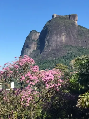Casa com 4 suites em fabuloso condomínio dentro da Mata Atlantica. Segurança e privacidade