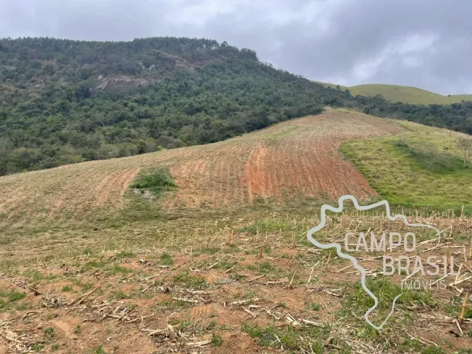 OPORTUNIDADE! ÁREA RURAL DE 8,5 ALQUEIRES EM JAMBEIRO!