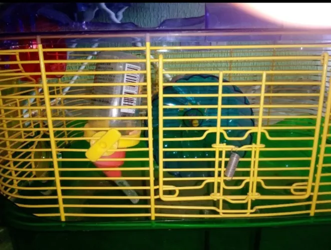 Gaiola Hamster 
