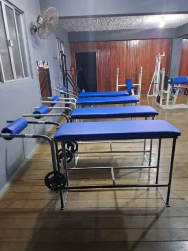 mesa flexora