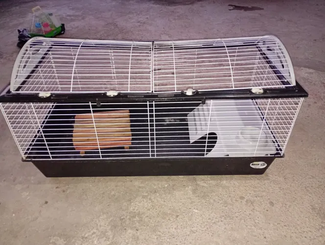 Casa pra hamster, coelho entre outros