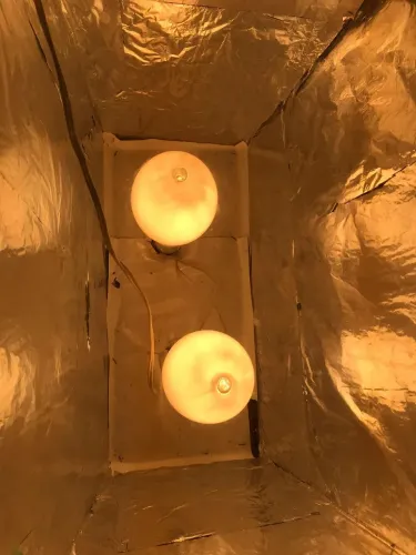 Mesa reveladora para serigrafia 