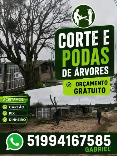 Podas e cortes de árvore