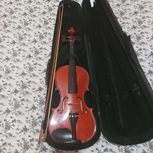 Violino Michael VNM40 completo 