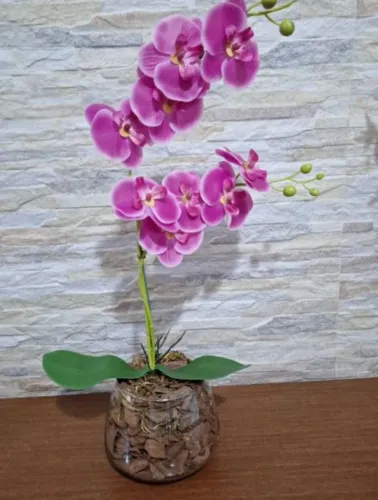 Arranjo de orquídea na cor rosa