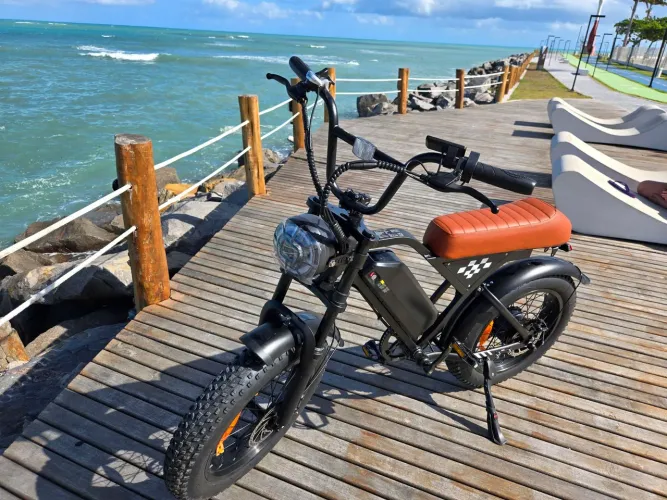 Bicicleta Elétrica EB5 Max 1000W - Aro 20. Para Adultos.