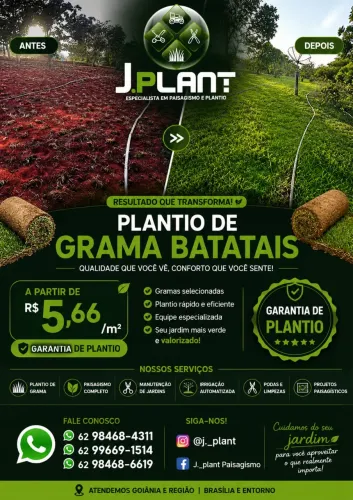 Grama batatais