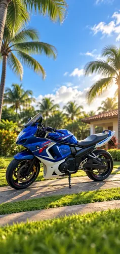 Suzuki Gsx 650F
