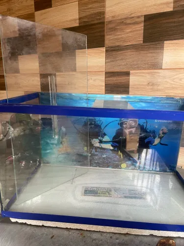 Aquário 49,5L completo com equipamentos e bomba e decorações, semi novo