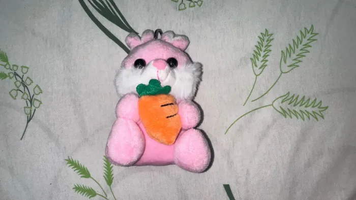 Pelúcia Coelho Rosa abraçando Cenoura Chaveiro/Brinquedo/Decoração