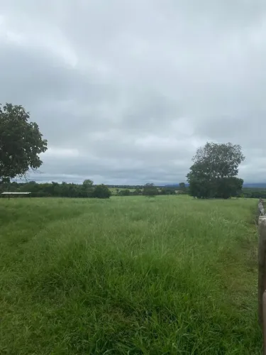 Fazenda em Araguapaz-go 