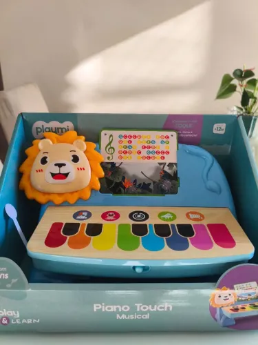 Brinquedo Cardoso