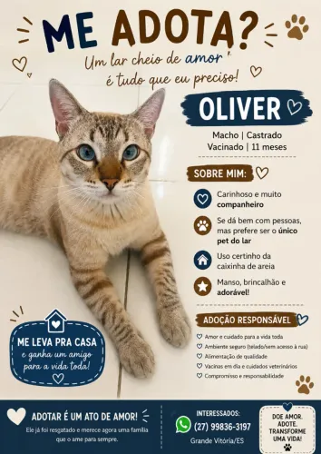 Gato