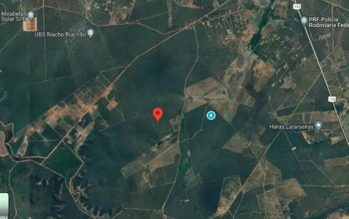 Fazenda Mirabela - Terra Nua - 70 Hectares