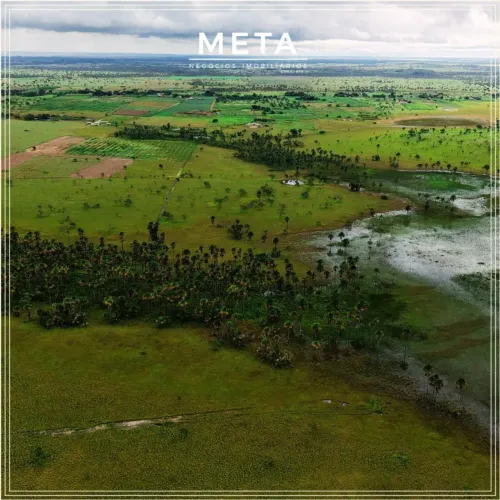 VENDE-SE ÁREA RURAL PRODUTIVA NO P.A. NOVA AMAZÔNIA | GRANDE POTENCIAL DE INVESTIMENTO