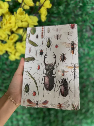 Agenda S/Pauta Insetos ( Darkside)