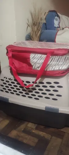 Transporte para animais