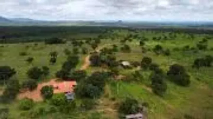 Fazenda c/ 516he c/ 140he abertos, parte Cultura, 9km de Jangada-MT