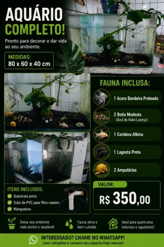 Aquario com fauna e substrato/ Ideal para iniciantes 
