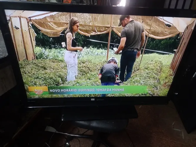 Tv 42 semp leia o anúncio