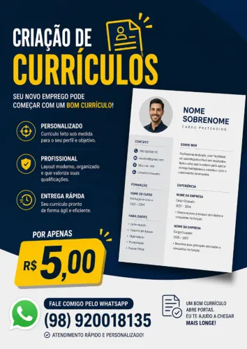 CURRICULO PROFISSIONAL