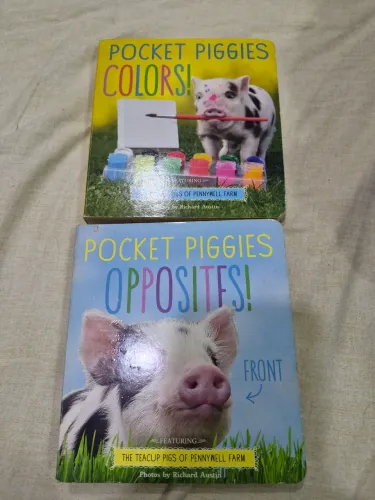 Livros Pocket Piggies: Colors! Opposites!
