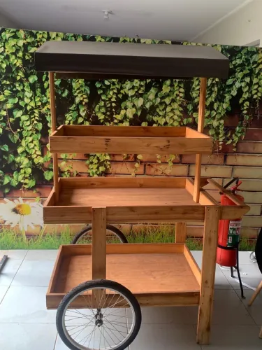 Carrinho para FESTAS & EVENTOS: VENDO OU ALUGO por dia