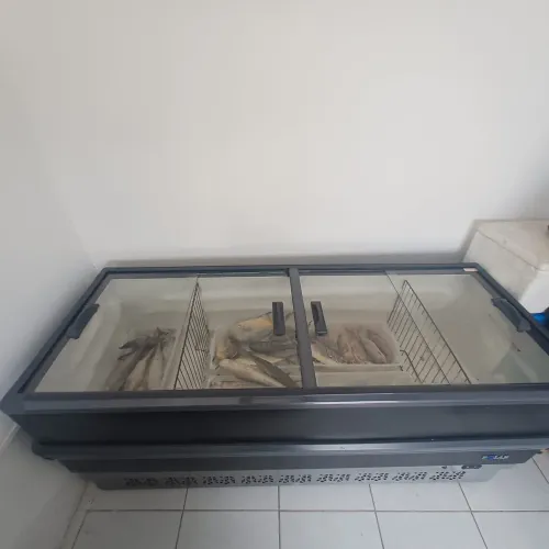 VENDO ILHA DE CONGELADOS POLAR