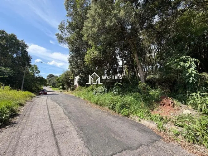 Terreno à venda, 342 m² por R$ 89.000,00 - Planta Cruzeiro - Piraquara/PR