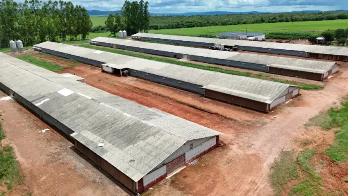 Chácara com granja integrada a BRF - Renda comprovada de R$ 1,2 milhões/ano - Caldas Novas