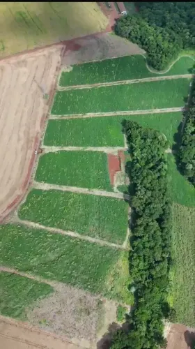 Chácara em Bom Princípio - Toledo - PR