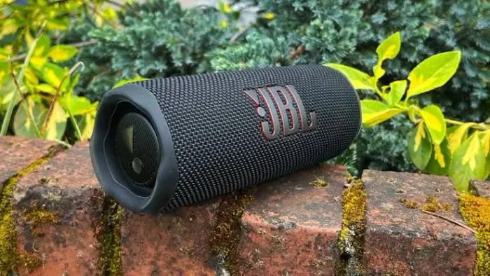 JbL Flip 6