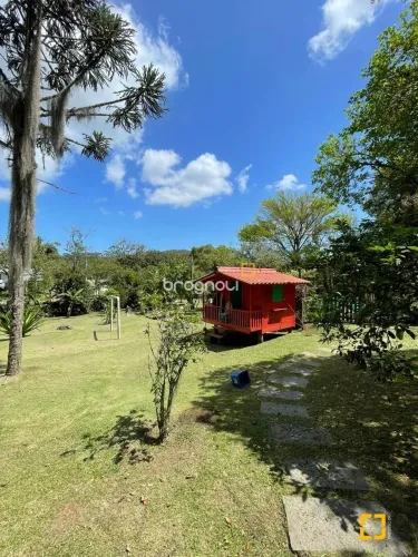 Sitio em Ratones