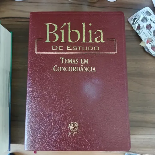 Biblia de estudo temas em concordancia
