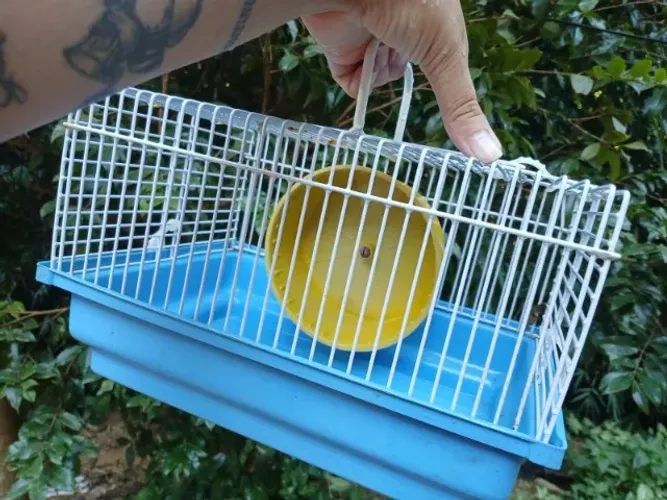 Gaiola para Hamster com Rodinha ? Vendo ou Troco