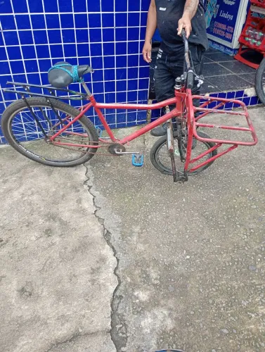 Bike cargueira